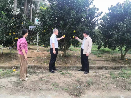 九州酷游(酷游·ku游)官方网站