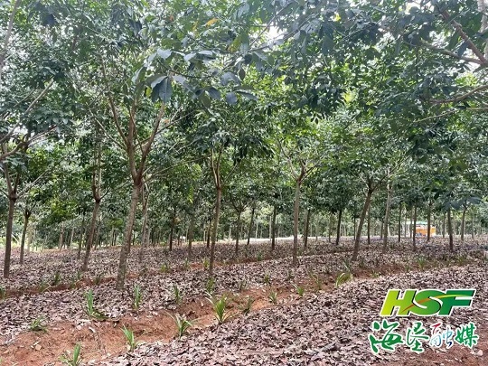 九州酷游(酷游·ku游)官方网站