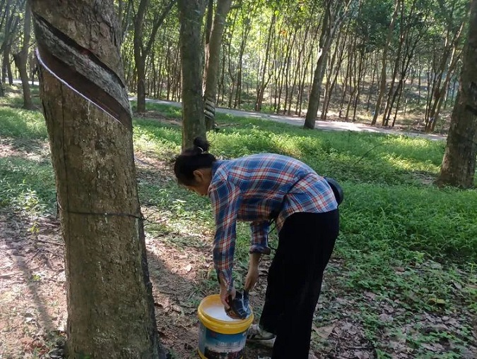 九州酷游(酷游·ku游)官方网站