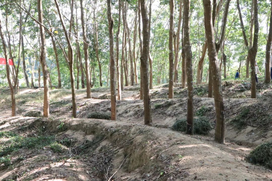 九州酷游(酷游·ku游)官方网站